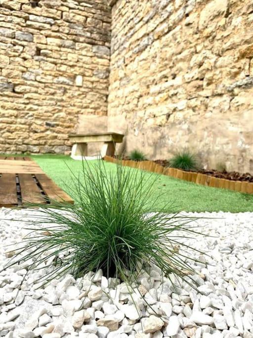 L'Eden, Apt 4 Prs Avec Jardin En Centre Ville Dijon Eksteriør billede